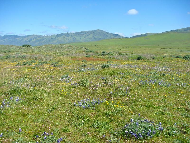 Big Sur 2010 046.jpg